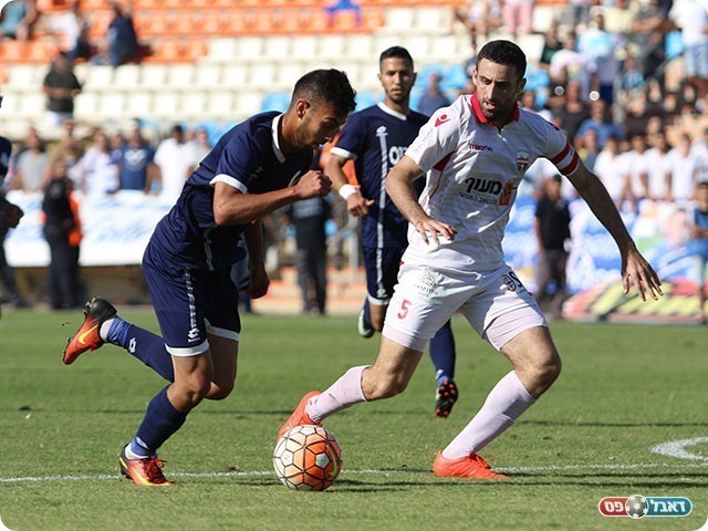 סבע בדרך לחמישי (עודד חסין)